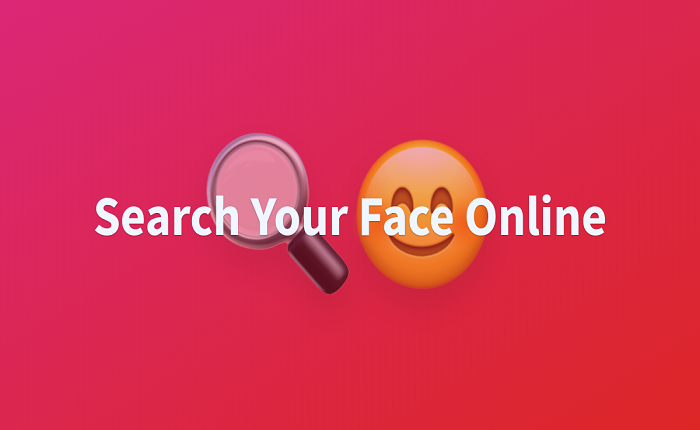 Face Online: Exploring the Virtual Frontier