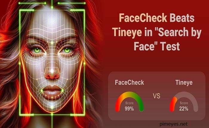 Facecheck: An Introduction to the Face Verification System