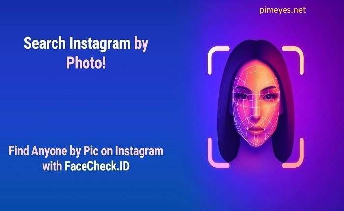 Face Check.id: Revolutionizing Digital Identity Verification